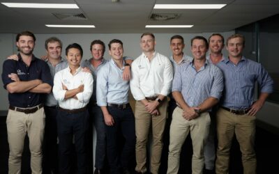Bold internal growth and company restructure in response to market demands